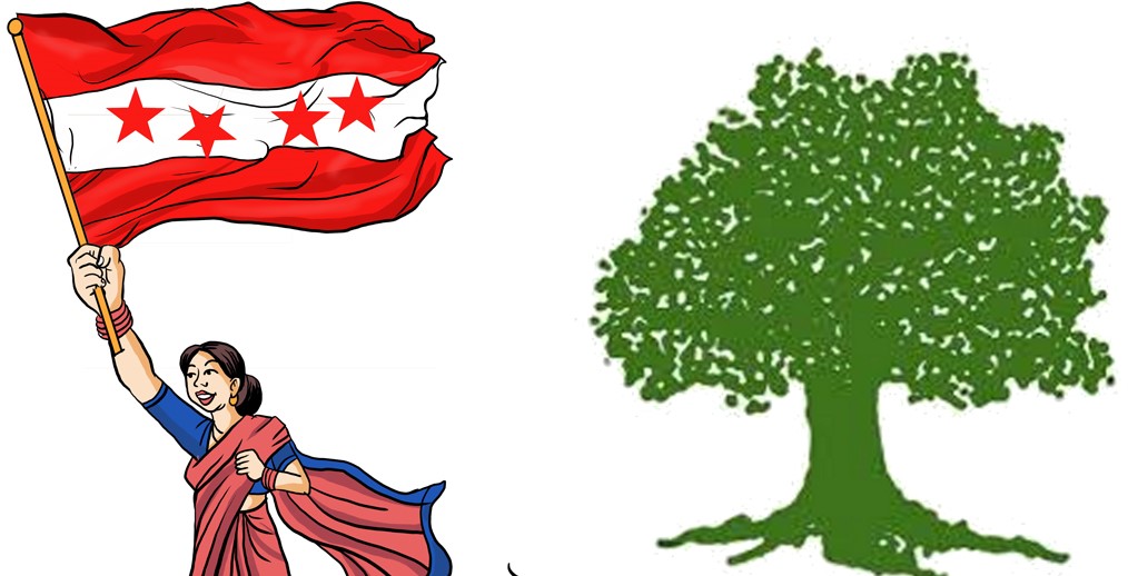 बटेश्वर गाउँपालिका–१ मा काँग्रेस विजयी