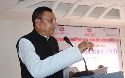 वैदेशिक रोजगारीलाई व्यवस्थित बनाउन तीनै तहको सरकारबीच समन्वय आवश्यक : मुख्यमन्त्री यादव