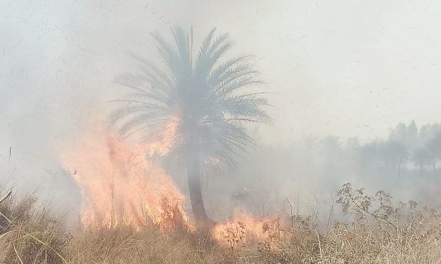 BREAKING NEWS : धनुषाधाम वनमा भिषण आगलगी