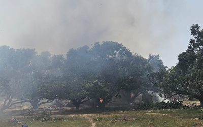 महोत्तरीको मटिहानीमा भीषण आगलागी