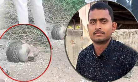 आफ्नै साथीको हत्यामा संलग्न आरोपमा फरार रहेका बैठा पक्राउ