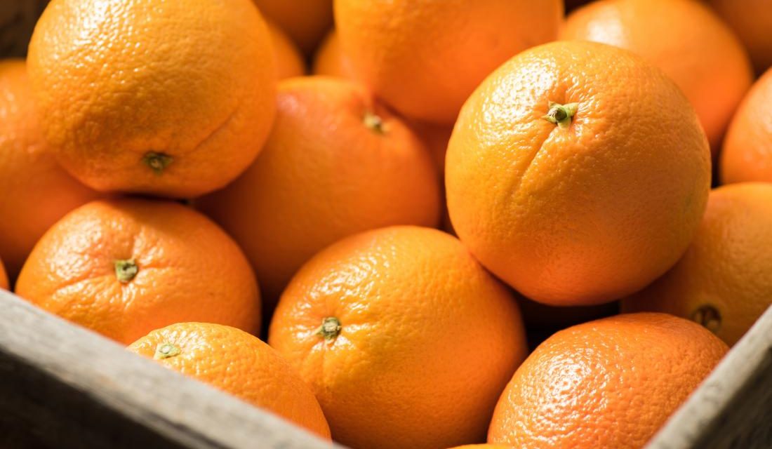 सुन्तला राष्ट्रिय फल घोषणा