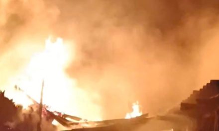 वीरगन्जको अलौमा सात घर जले, ५४ लाख रुपैयाँ बराबरको क्षति