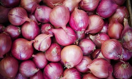 प्याजको भाउ बढ्ने ! भारतले ४० प्रतिशत निर्यात शुल्क लगाएर प्याजको प्रतिबन्ध हटायो