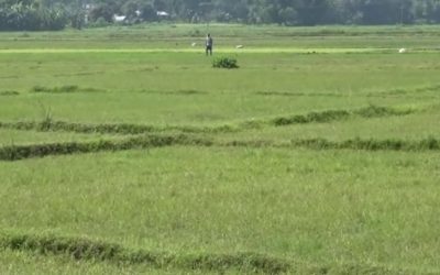सरकारले देशभरका ५ लाख भूमिहीनहरुलाई जग्गा उपलब्ध गराउने