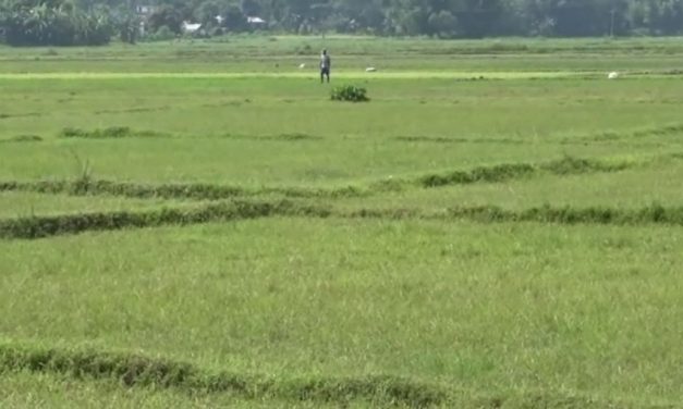 सरकारले देशभरका ५ लाख भूमिहीनहरुलाई जग्गा उपलब्ध गराउने