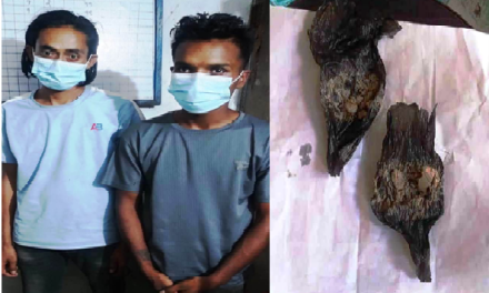 धनुषाबाट खैरो हिरोइनसहित महोत्तरीका दुई युवक पक्राउ