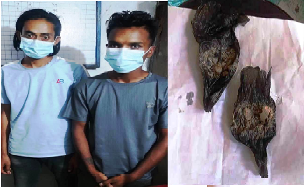 धनुषाबाट खैरो हिरोइनसहित महोत्तरीका दुई युवक पक्राउ