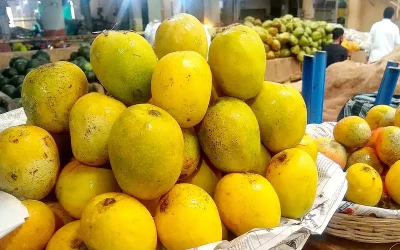 कार्वाइड प्रयोग गरिएका फलफूल खरिदबिक्री नगर्न विभागको आग्रह