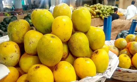 कार्वाइड प्रयोग गरिएका फलफूल खरिदबिक्री नगर्न विभागको आग्रह