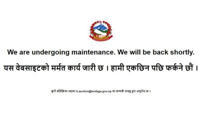 देशका धेरैजसो पालिकाको वेबसाइट ‘डाउन’