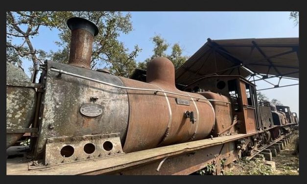 संरक्षणको पर्खाइमा नेपालको छुक्छुके रेल