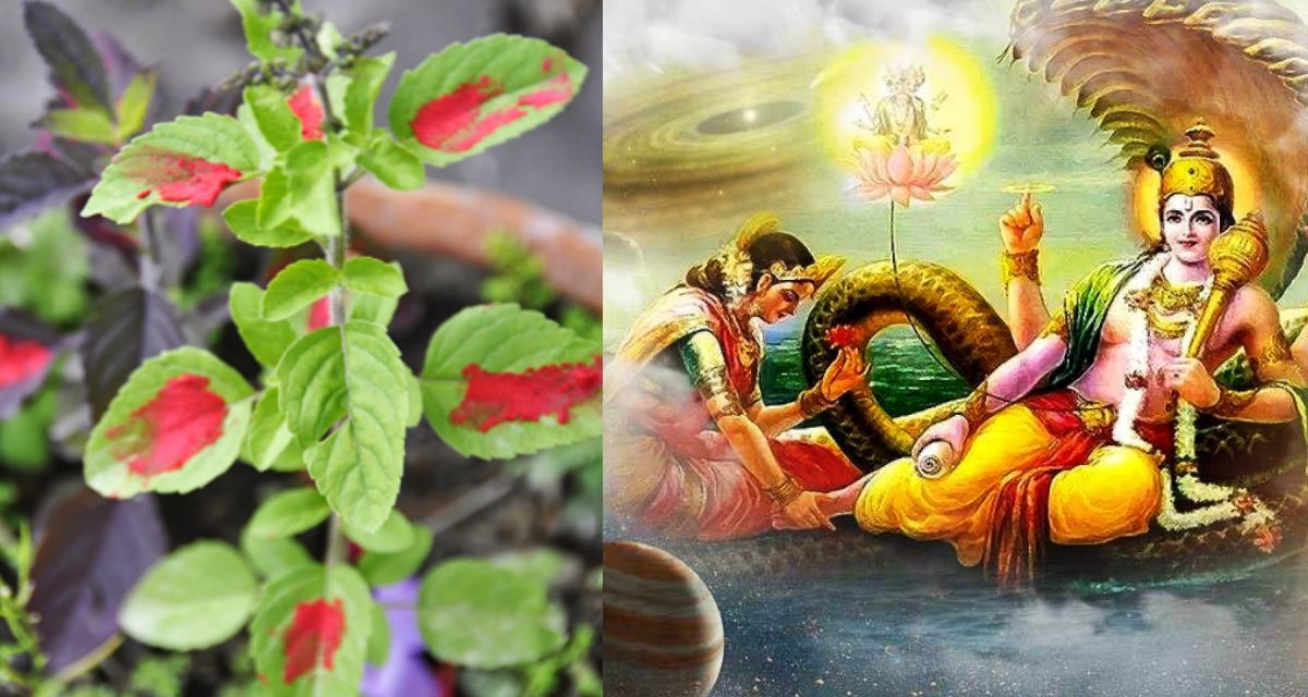 आज  निर्जला एकादशी मनाइदै