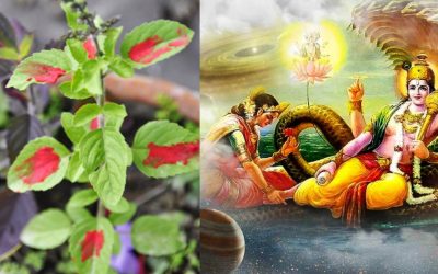 आज  निर्जला एकादशी मनाइदै