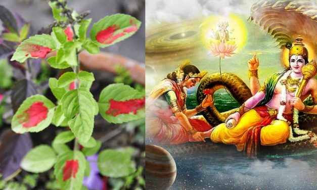 आज  निर्जला एकादशी मनाइदै