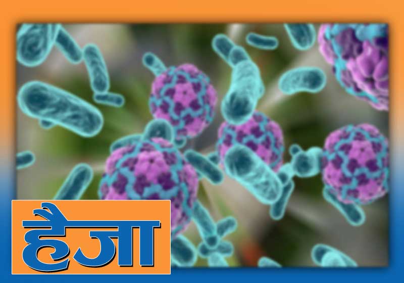 देशभर हैजा सङ्क्रमण फैलिँदै, सरसफाइमा विशेष ध्यान दिन विज्ञको सुझाव