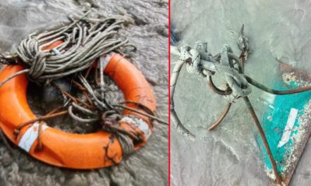 त्रिशूलीमा हराएको चुम्बक भेटियो, बस र ३८ यात्रुको अवस्था अझै अज्ञात