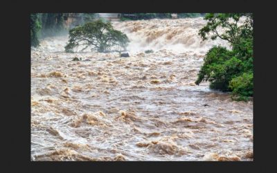 आगामी तीन दिन यी नदीमा जल सतह बढ्ने