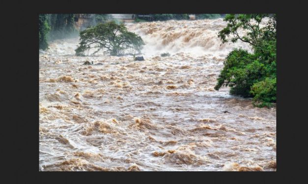 आगामी तीन दिन यी नदीमा जल सतह बढ्ने