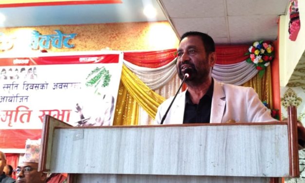 राजनीतिक स्थिरताका लागि पहिले संघको चुनाव गर्नुपर्छ: निधि