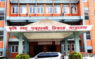 रासायनिक मल वितरणबारे जानकारी दिन कल सेन्टर स्थापना