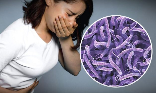 थप ५ जनामा हैजा पुष्टि, संक्रमितको संख्या ५५ पुग्यो 