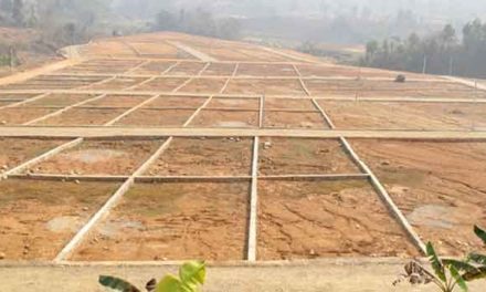 सबै पालिकामा खुल्यो कित्ताकाट