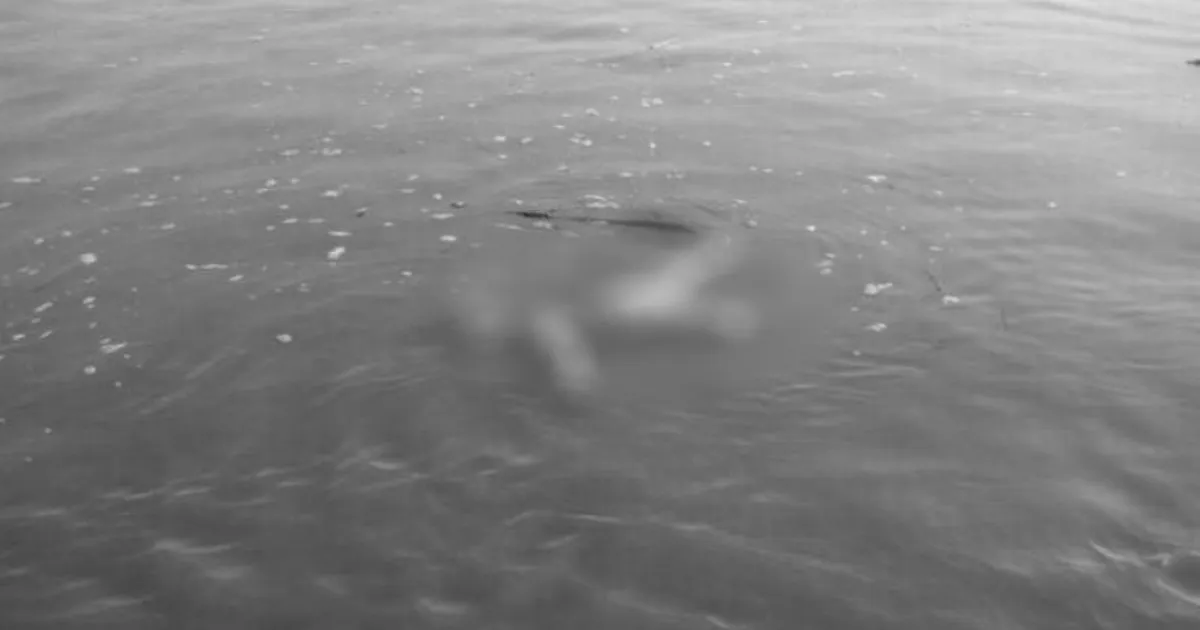 जितिया व्रतालुको डुबेर मृत्यु, एक बेपता