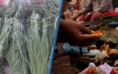आज कुशे औँसी पर्व, बाबुको मुख हेर्ने दिन