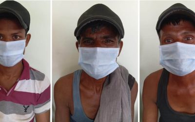 गाई, गोरु भारत लैजान लागेको आरोपमा तीनजना पक्राउ