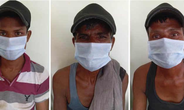 गाई, गोरु भारत लैजान लागेको आरोपमा तीनजना पक्राउ