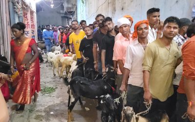 जनकपुरधामको राजदेवी मन्दिरमा १५ हजार ४ बोकाको वलि प्रदान