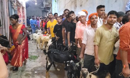 जनकपुरधामको राजदेवी मन्दिरमा १५ हजार ४ बोकाको वलि प्रदान