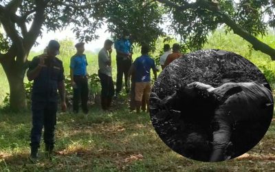महोत्तरीमा जलाइएको अवस्थामा महिलाको शव फेला